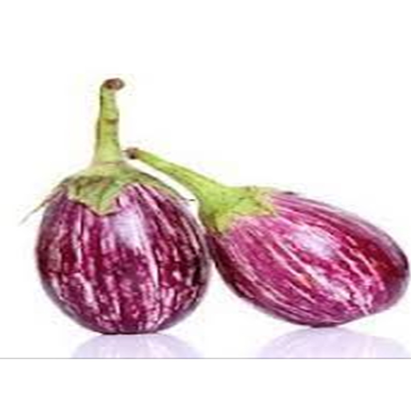 Brinjal Stribed