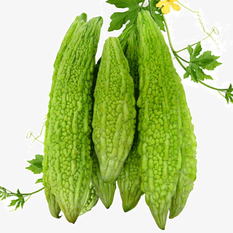 Bitter Gourd